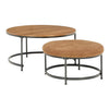 Derry - 2 Piece Coffee Table Set